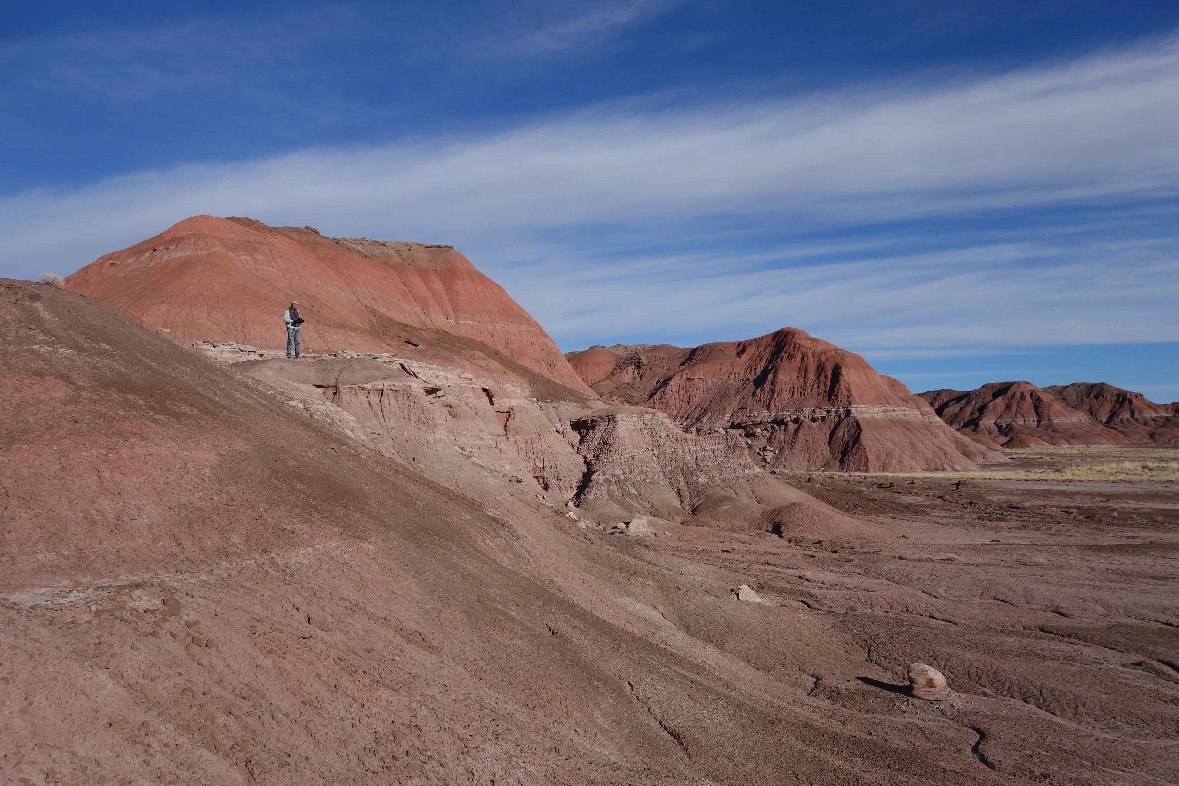 Petrified Forest NP